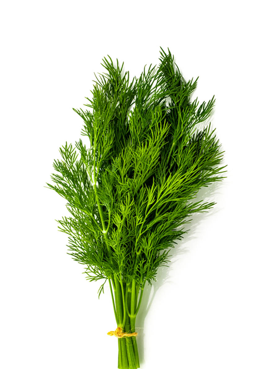 Dill-1